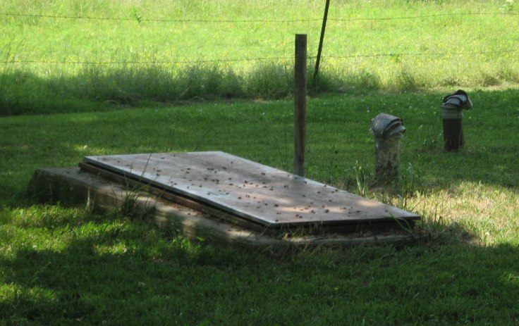 10295-rose27spicnic116