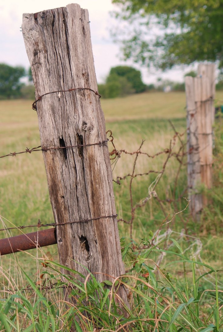 2d0dd-grapesandcountrysidejourney159