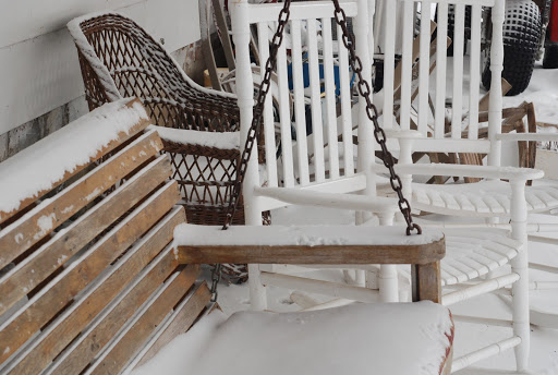 Birds of the Prairie in Winter