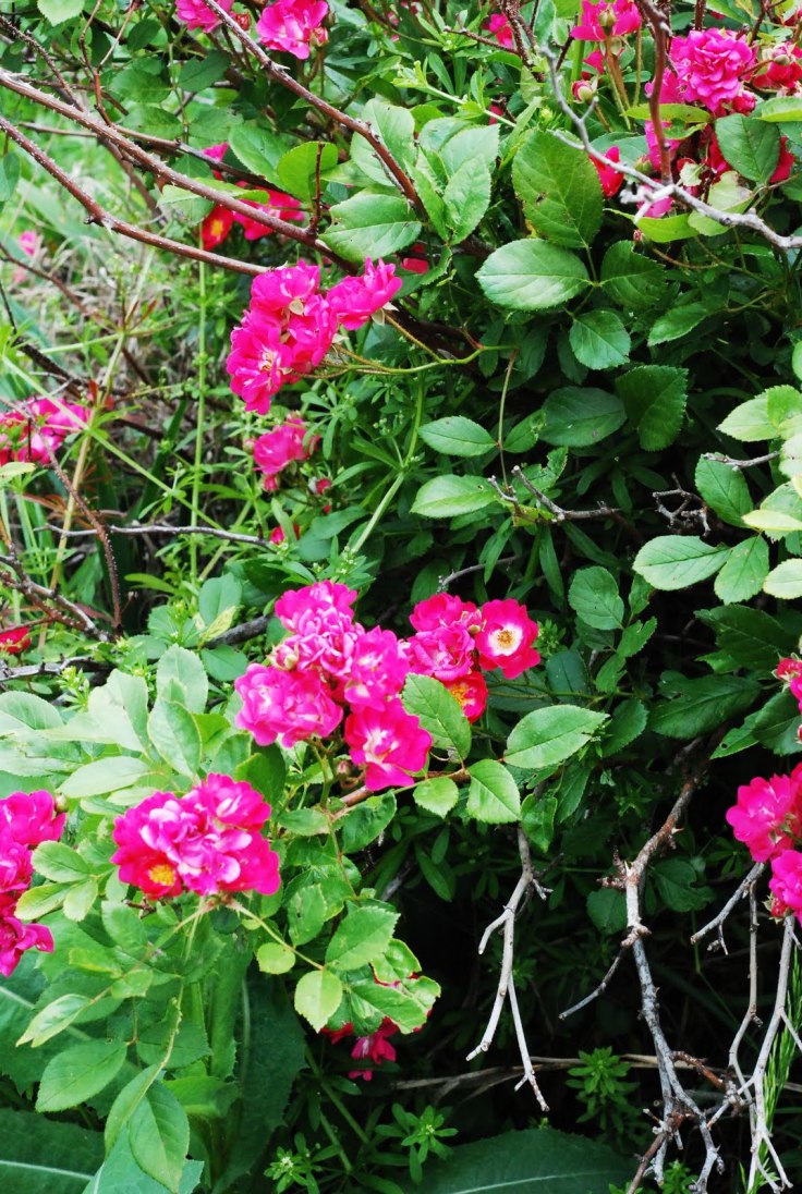 f20c5-360pictures302