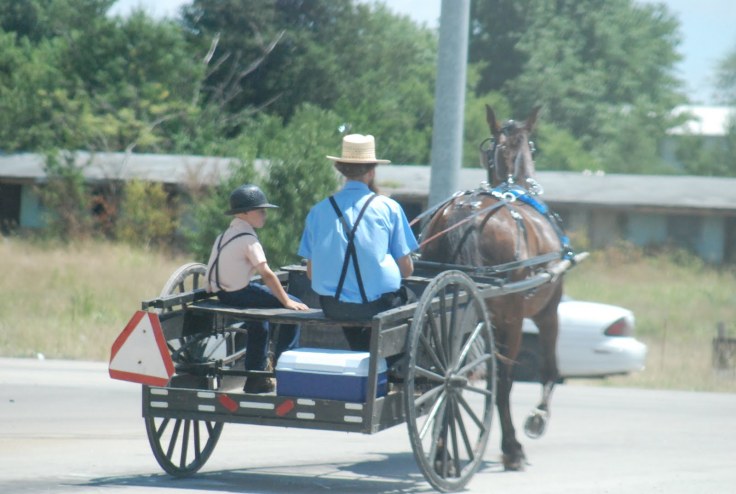 08c9c-fayettevillenewhouse010