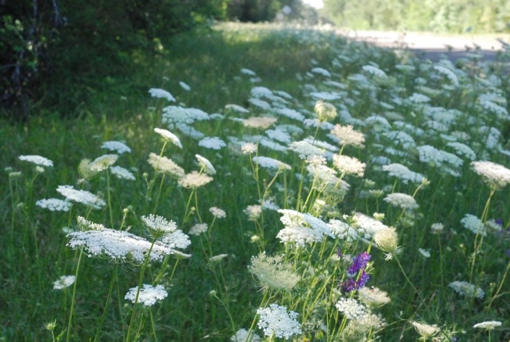 44698-texastripone029