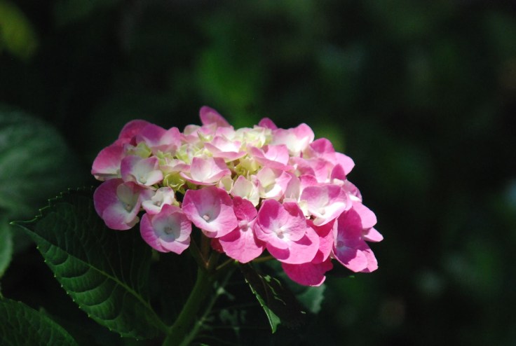 66b78-texastripone464-copy