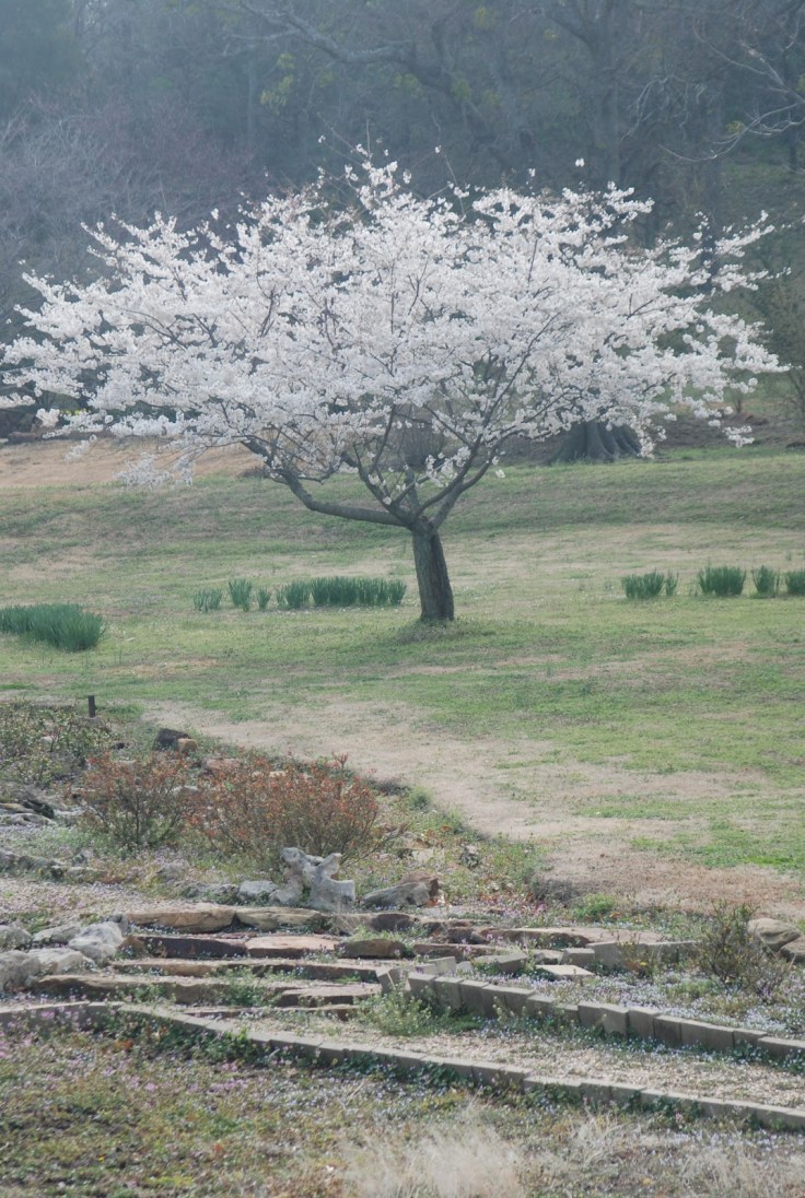 a573d-muskogee2012007