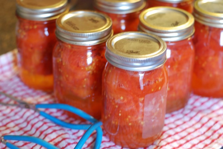 f9a85-dsc_68132b-2bcopy