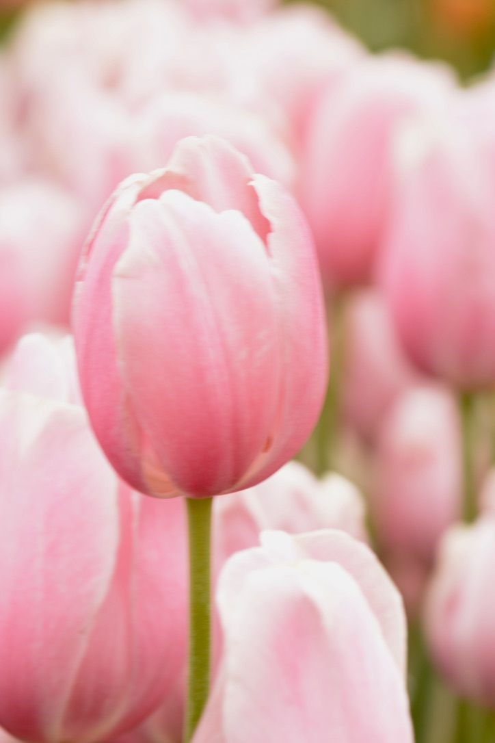 qaVGHRZmIEhyhyGZ76A_thumb_fb27