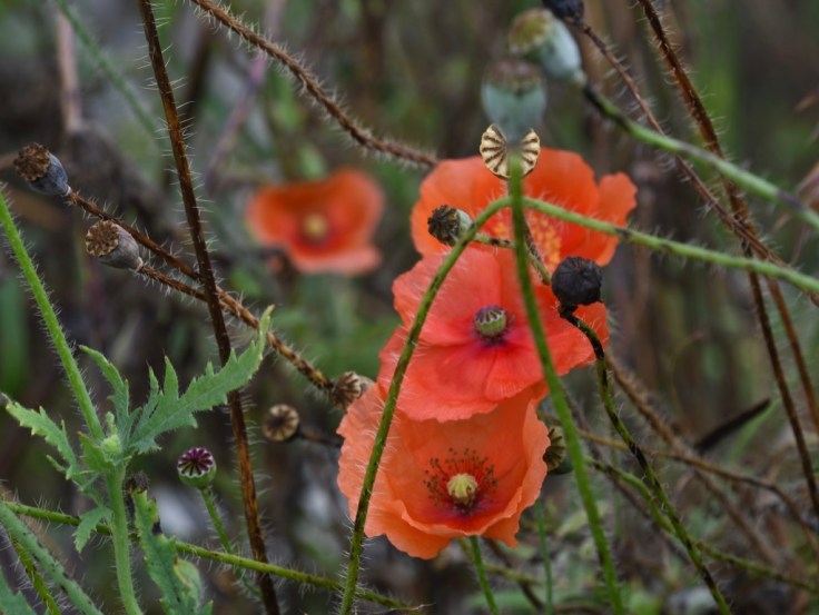 fUtNSqbRQdiXsBgPk%y89g_thumb_fe16