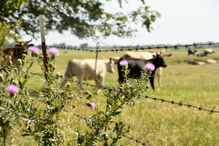 1ZFctJ6lQfWi7%rPmC6YPg_thumb_10453