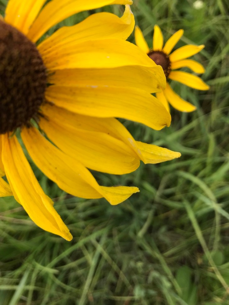 kunwEPKES4+Dv7CNiAlMjg_thumb_e54f