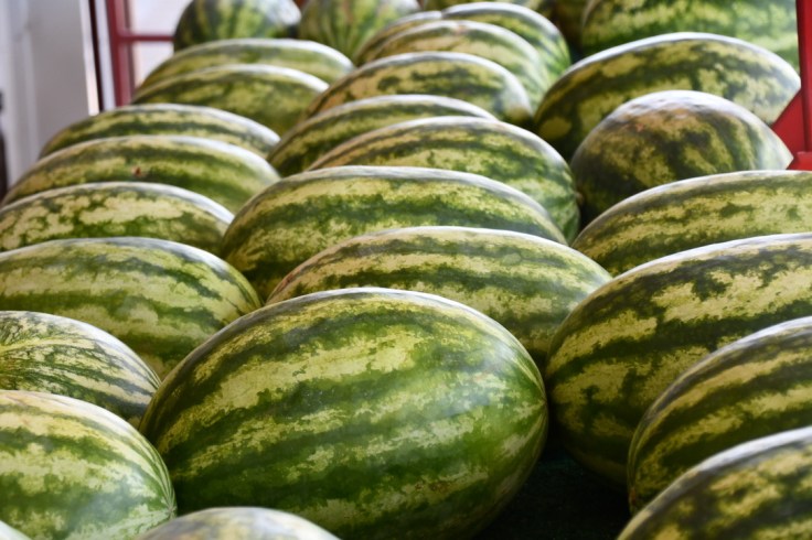 UNADJUSTEDNONRAW_thumb_10280