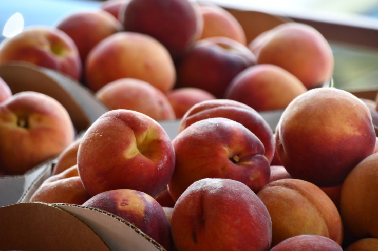 UNADJUSTEDNONRAW_thumb_10284