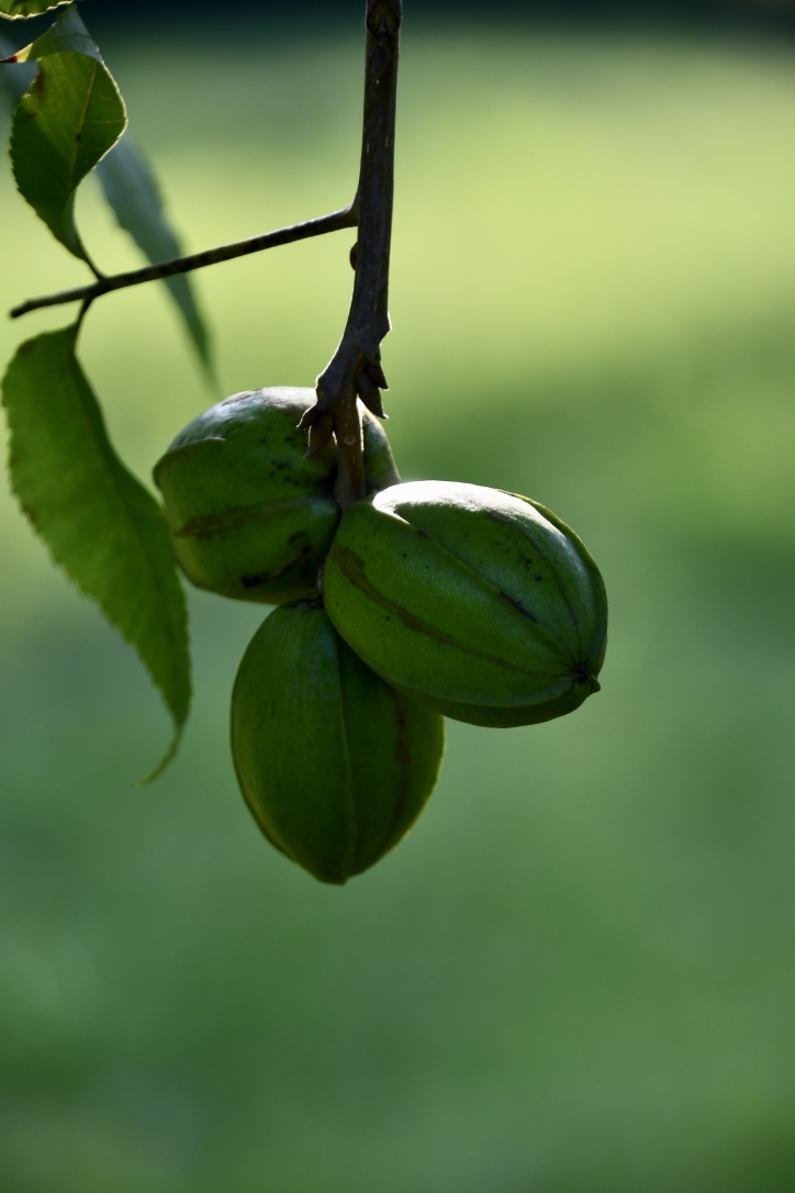 1%gSKR6OT4Cb%a%uAjMg3w_thumb_105dd