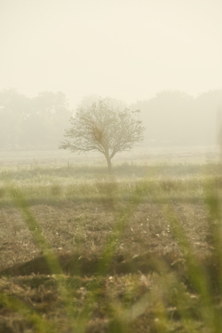 lTeFBgYhQdaVktpHGW0xlQ_thumb_10509