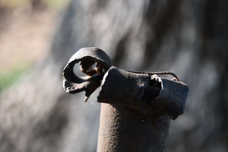 UNADJUSTEDNONRAW_thumb_10626