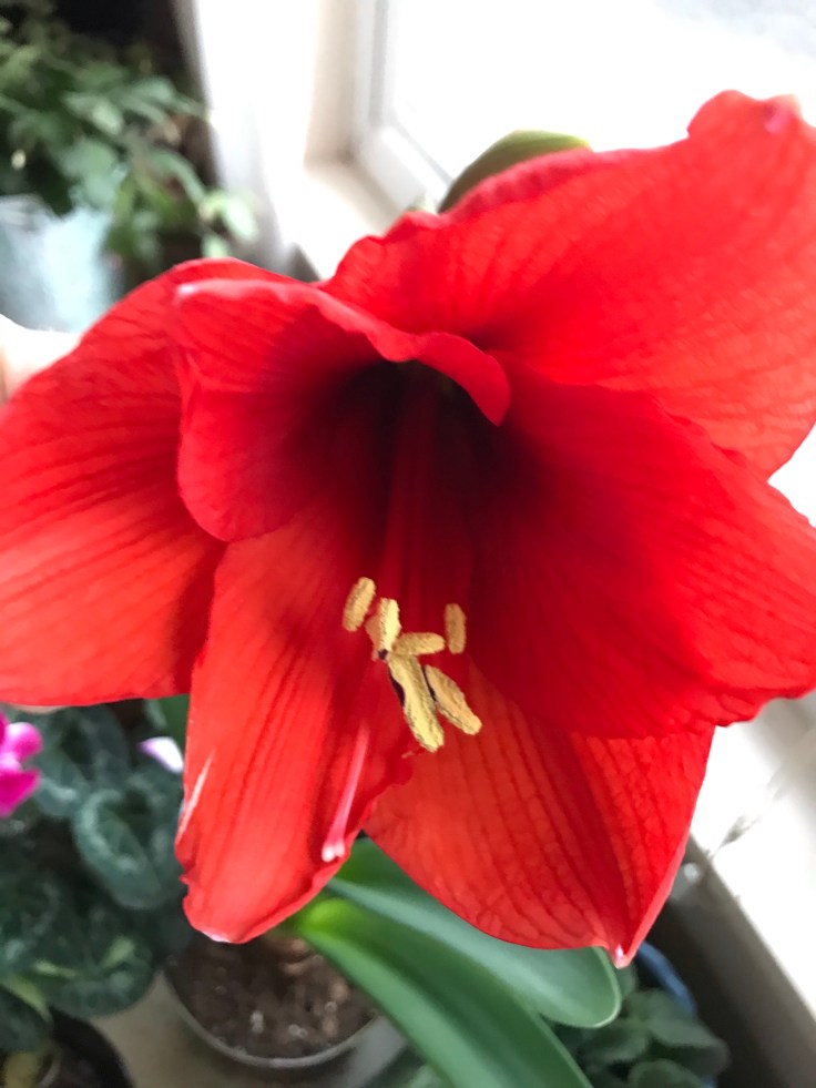 This image has an empty alt attribute; its file name is img_7600.jpg